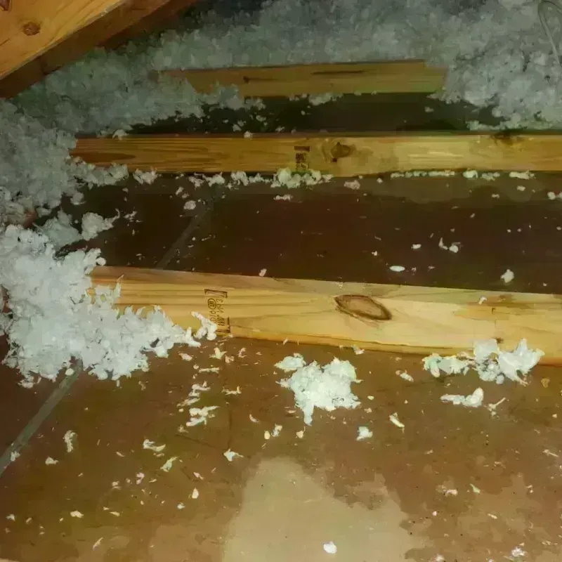 Attic Water Damage in Crockett County, TX