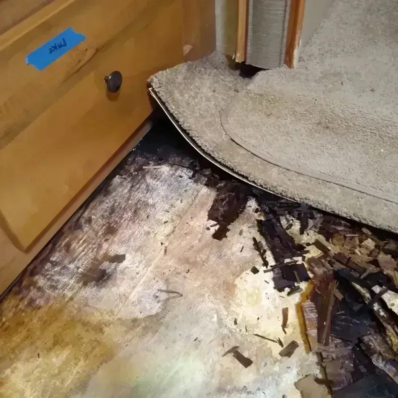 Wood Floor Water Damage in Crockett County, TX